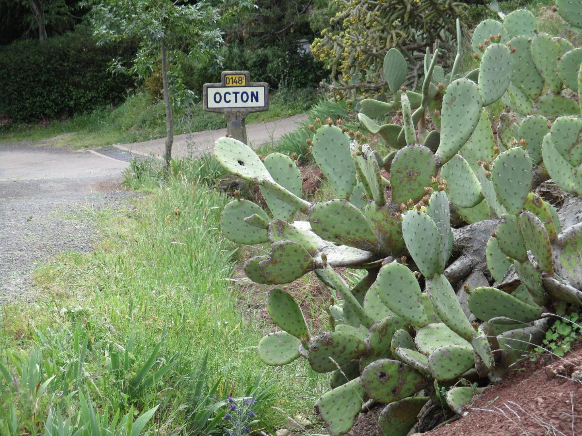 Hotes'Octon Buitenkant foto
